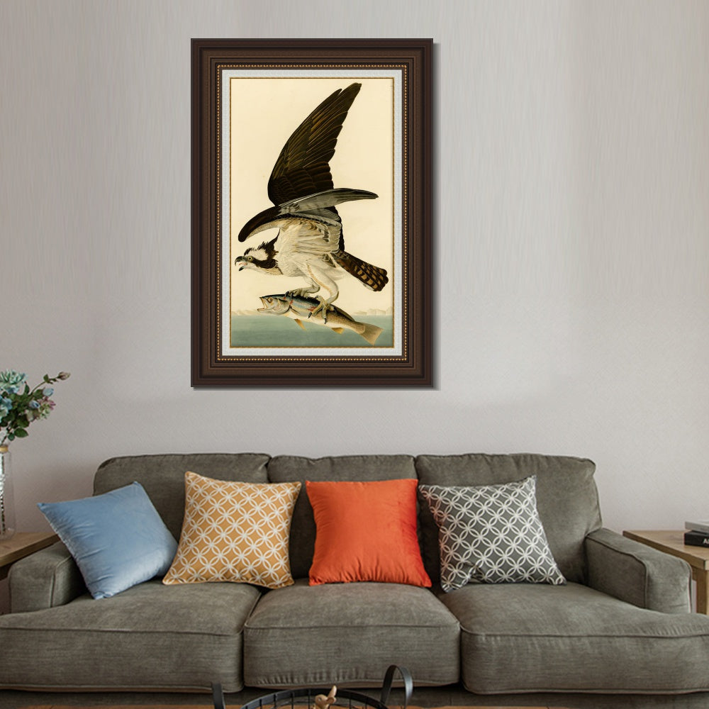 INVIN ART Framed Canvas Art Giclee Print Fish Hawk or Osprey by John James Audubon  Home Office Wall Art Decorations