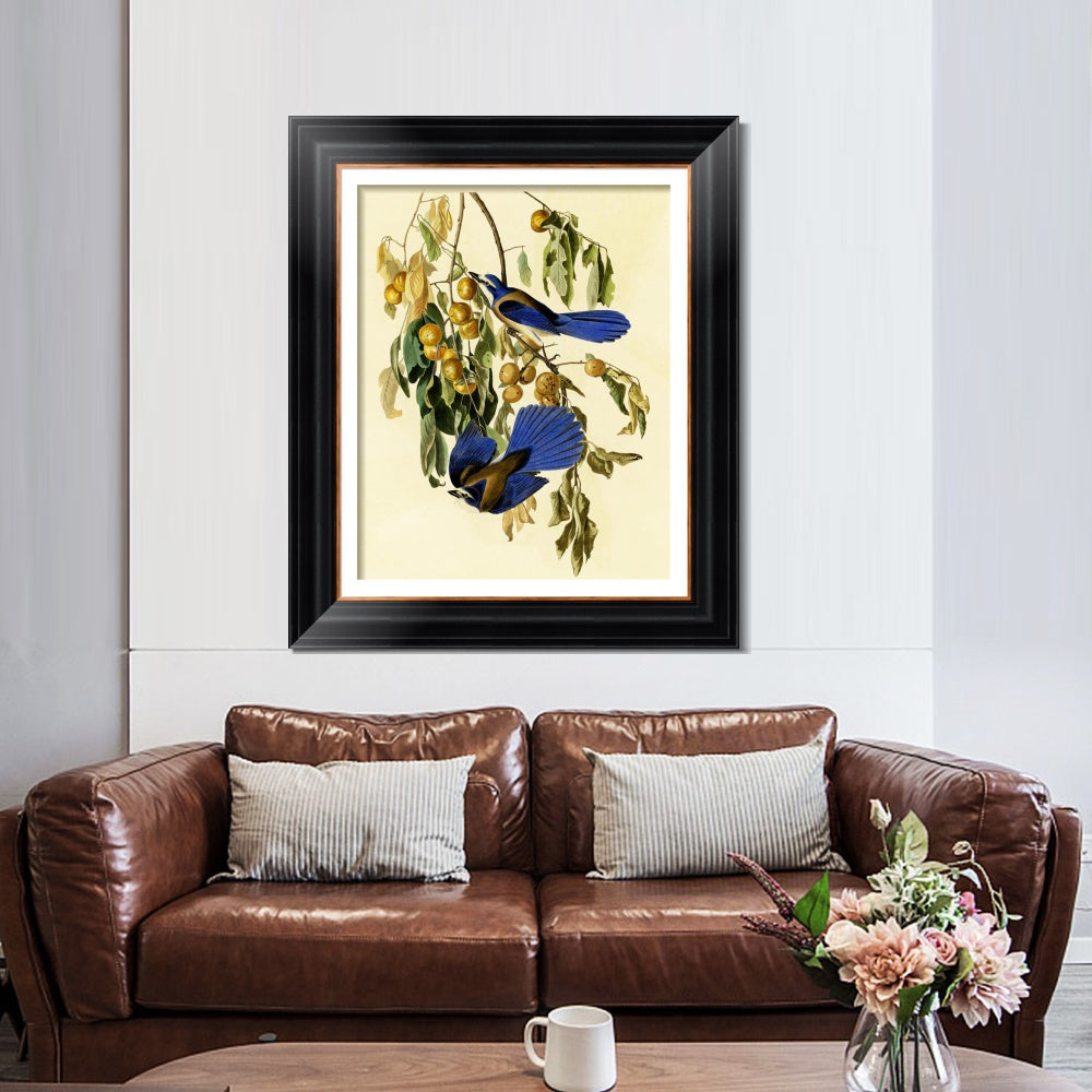INVIN ART Framed Canvas Art Giclee Print Florida Jay by John James Audubon  Home Office Wall Art Decorations