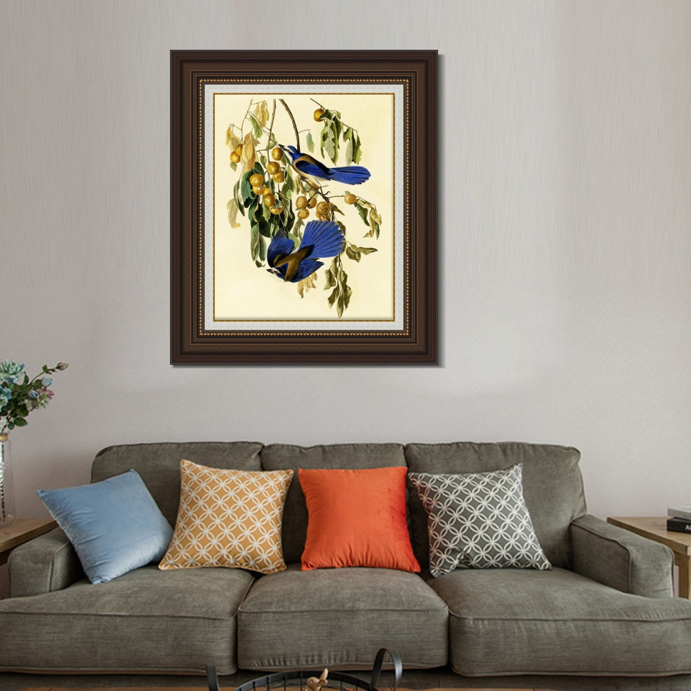 INVIN ART Framed Canvas Art Giclee Print Florida Jay by John James Audubon  Home Office Wall Art Decorations