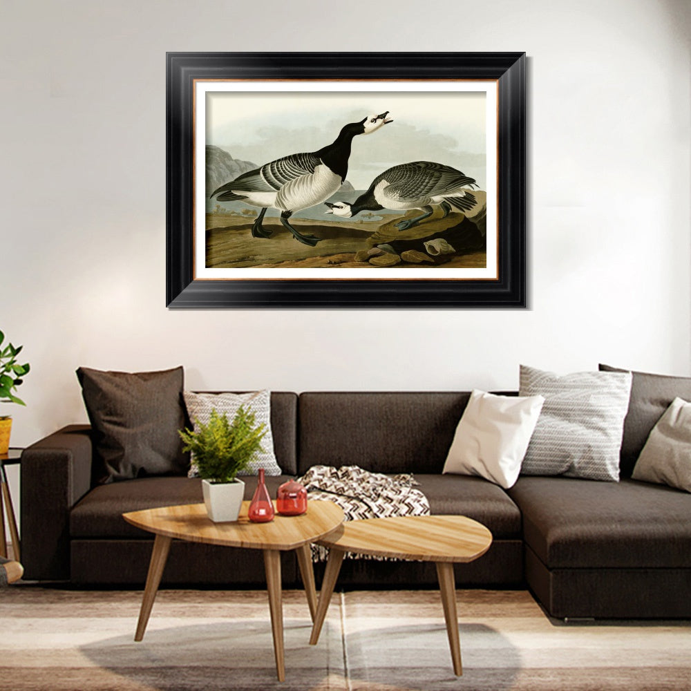INVIN ART Framed Canvas Art Giclee Print Barnacle Goose by John James Audubon Living Room Home Office Wall Art Decorations