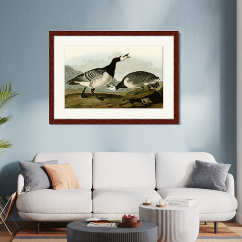 INVIN ART Framed Canvas Art Giclee Print Barnacle Goose by John James Audubon Living Room Home Office Wall Art Decorations