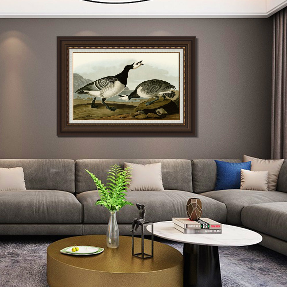 INVIN ART Framed Canvas Art Giclee Print Barnacle Goose by John James Audubon Living Room Home Office Wall Art Decorations