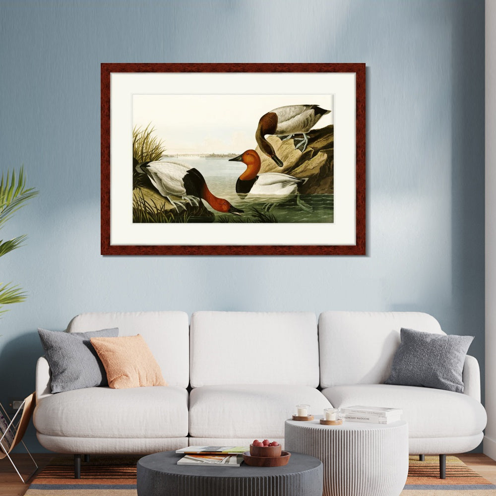 INVIN ART Framed Canvas Art Giclee Print Backed Duck by John James Audubon  Home Office Wall Art Decorations