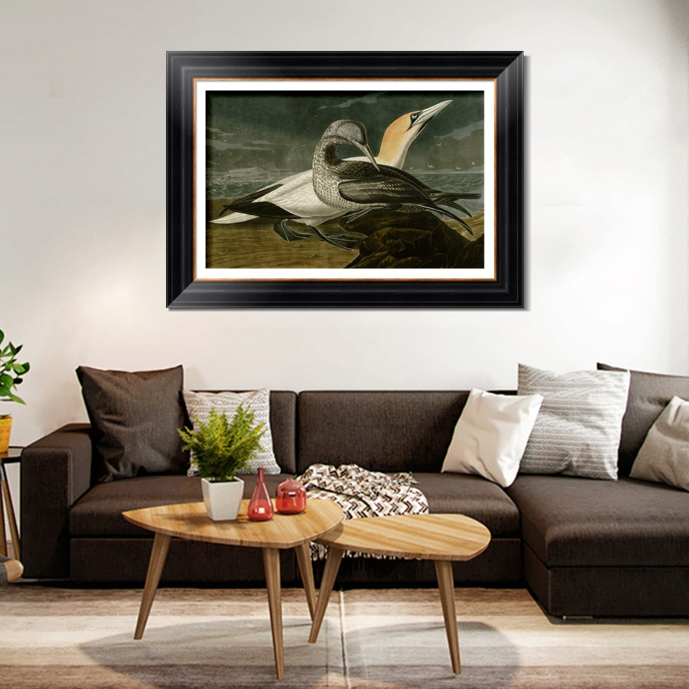 INVIN ART Framed Canvas Art Giclee Print Gannet by John James Audubon  Home Office Wall Art Decorations