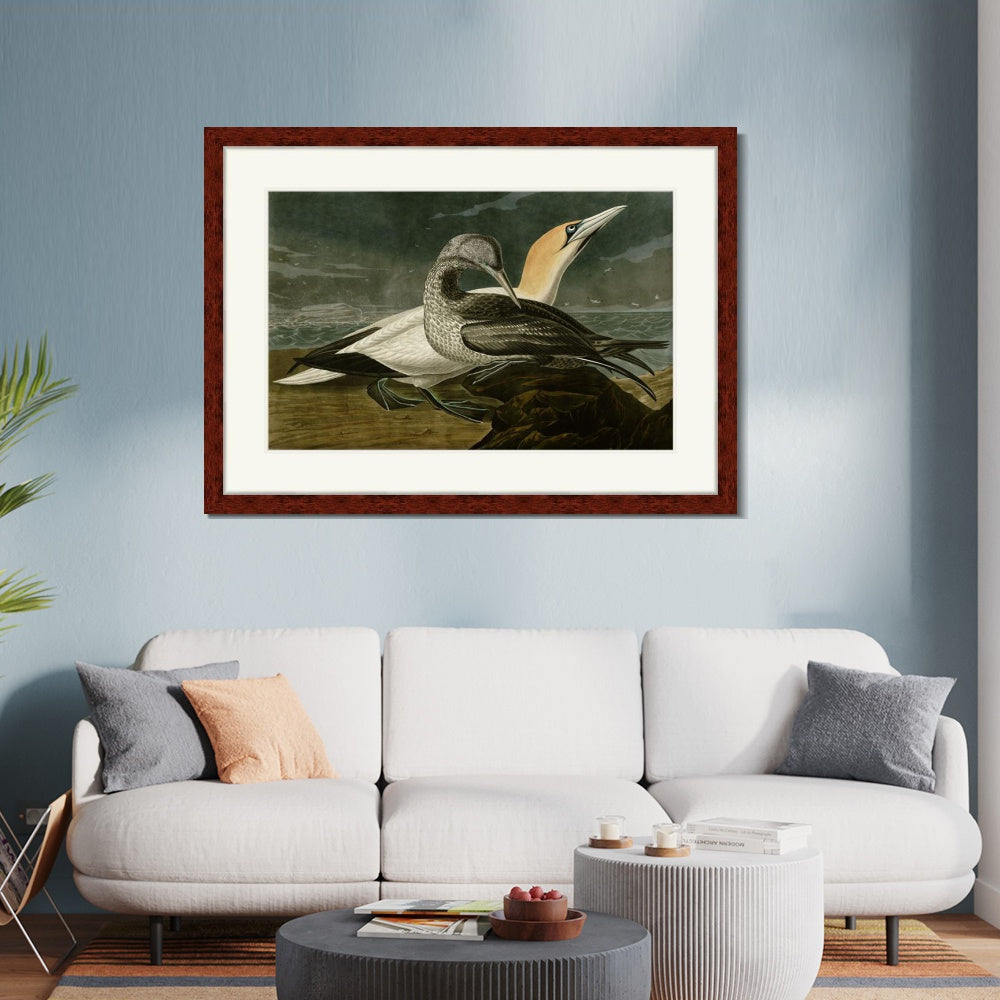 INVIN ART Framed Canvas Art Giclee Print Gannet by John James Audubon  Home Office Wall Art Decorations