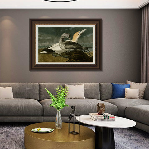 INVIN ART Framed Canvas Art Giclee Print Gannet by John James Audubon Living Room Home Office Wall Art Decorations