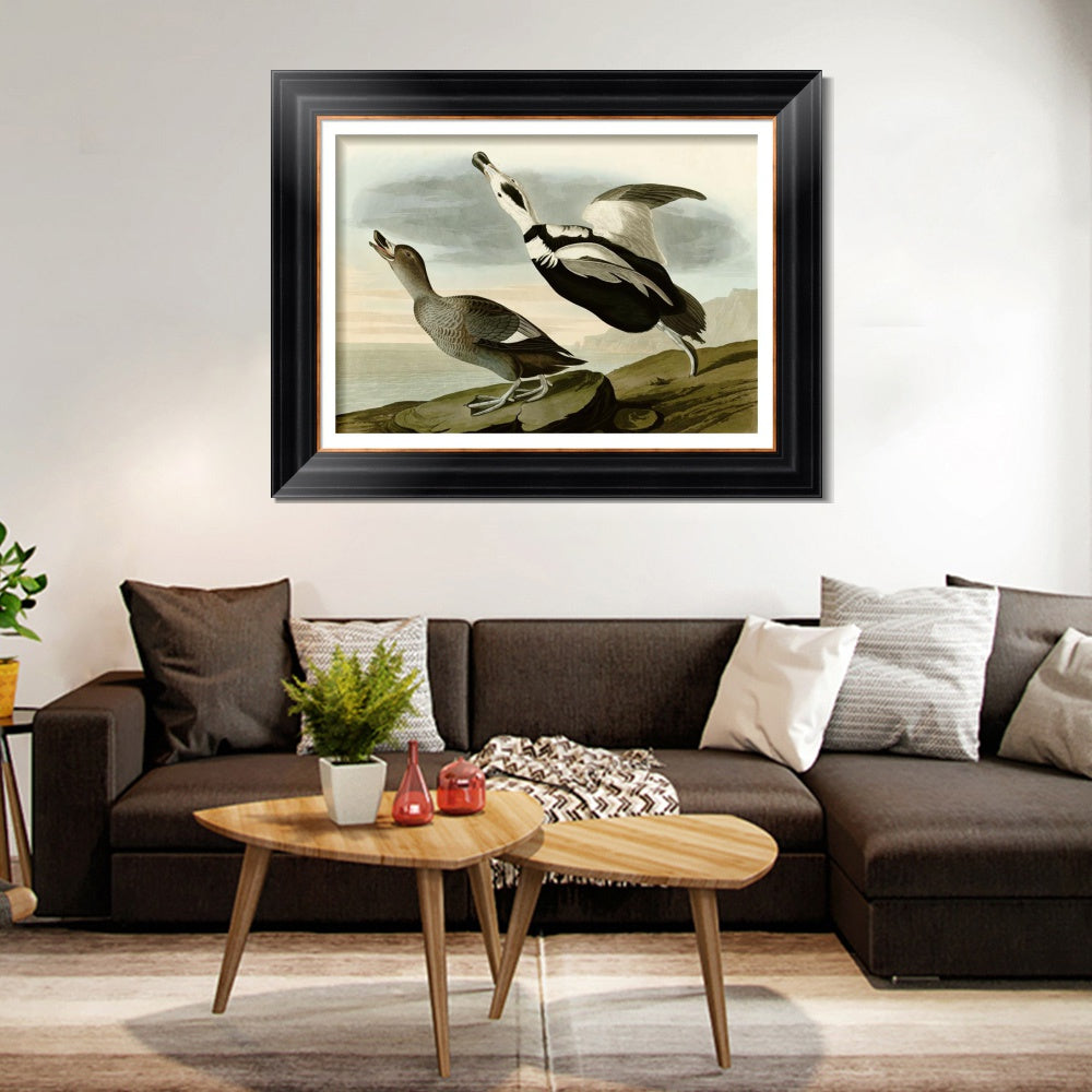 INVIN ART Framed Canvas Art Giclee Print Pied Duck Jay by John James Audubon  Home Office Wall Art Decorations