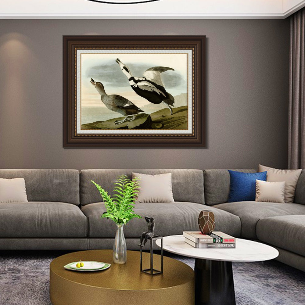 INVIN ART Framed Canvas Art Giclee Print Pied Duck Jay by John James Audubon  Home Office Wall Art Decorations