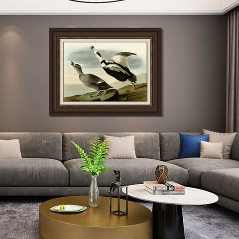 INVIN ART Framed Canvas Art Giclee Print Pied Duck Jay by John James Audubon Living Room Home Office Wall Art Decorations