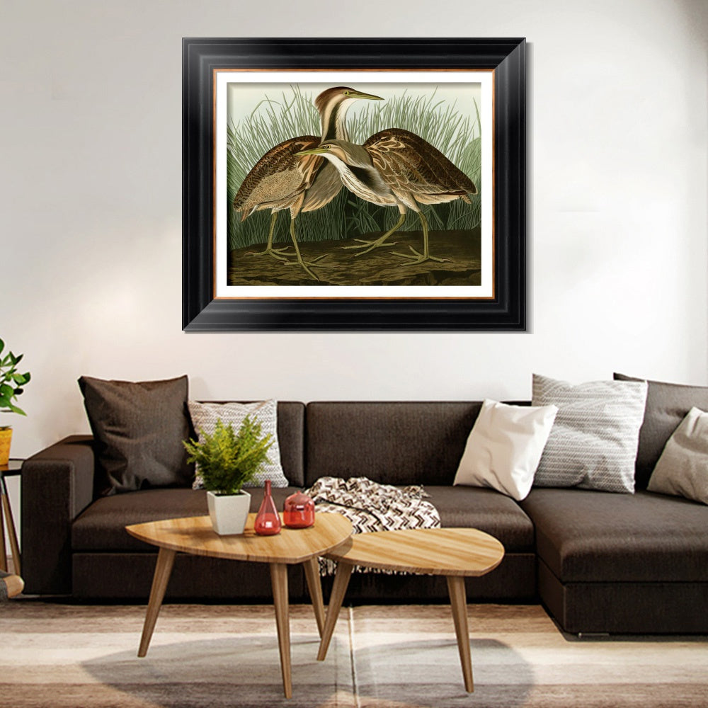 INVIN ART Framed Canvas Art Giclee Print American Bittern by John James Audubon  Home Office Wall Art Decorations