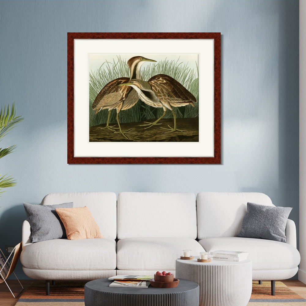 INVIN ART Framed Canvas Art Giclee Print American Bittern by John James Audubon  Home Office Wall Art Decorations