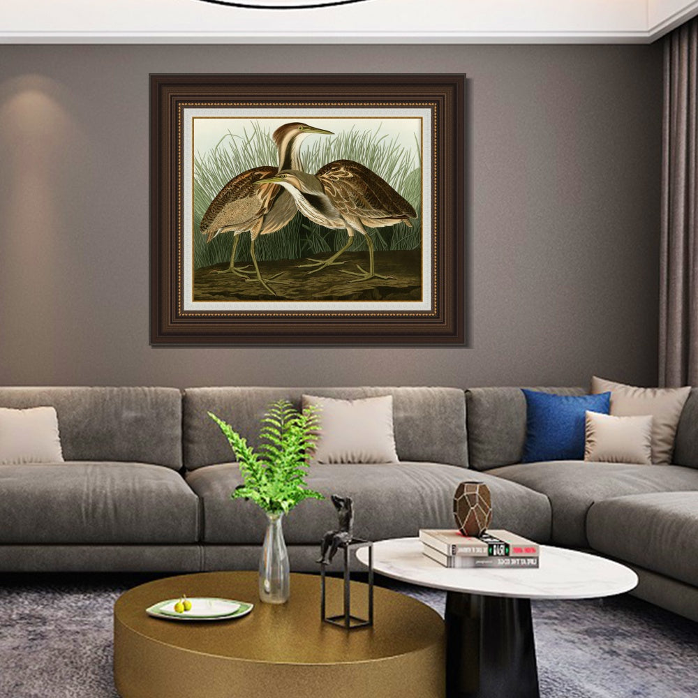 INVIN ART Framed Canvas Art Giclee Print American Bittern by John James Audubon  Home Office Wall Art Decorations