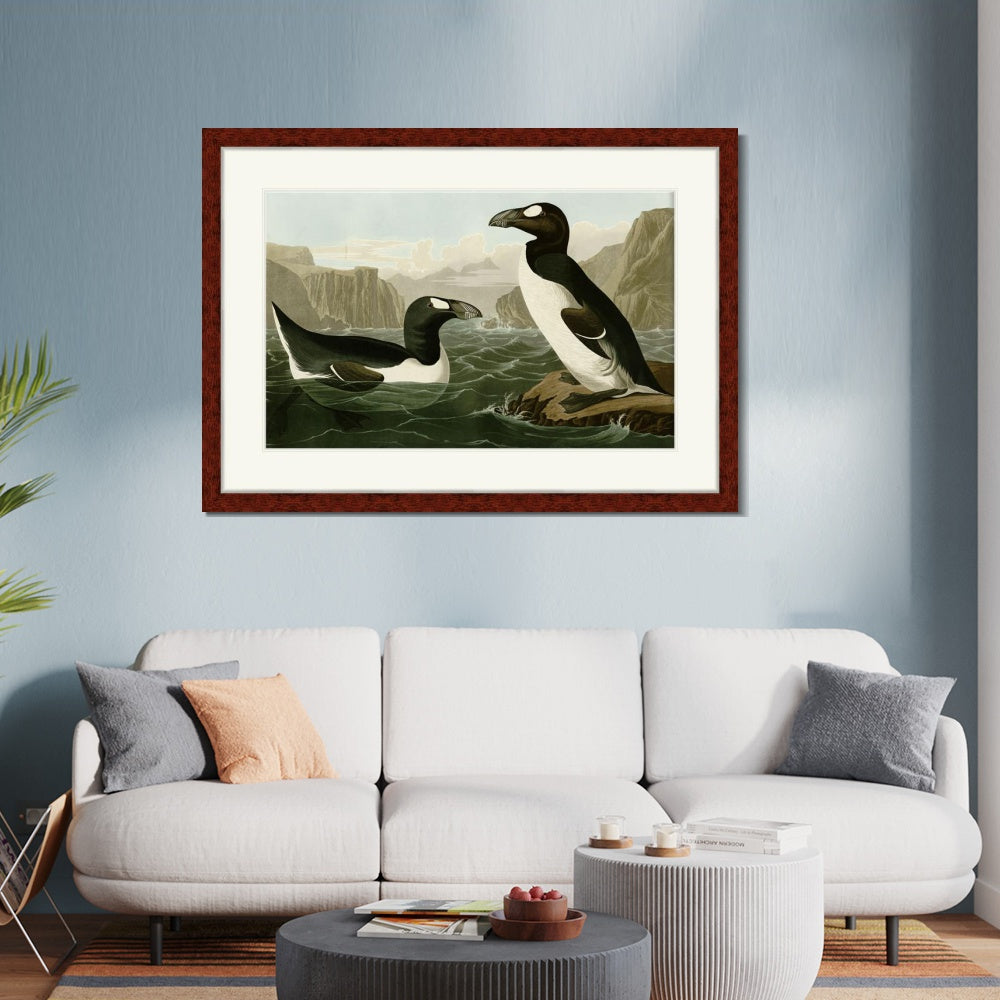 INVIN ART Framed Canvas Art Giclee Print Great Auk by John James Audubon  Home Office Wall Art Decorations