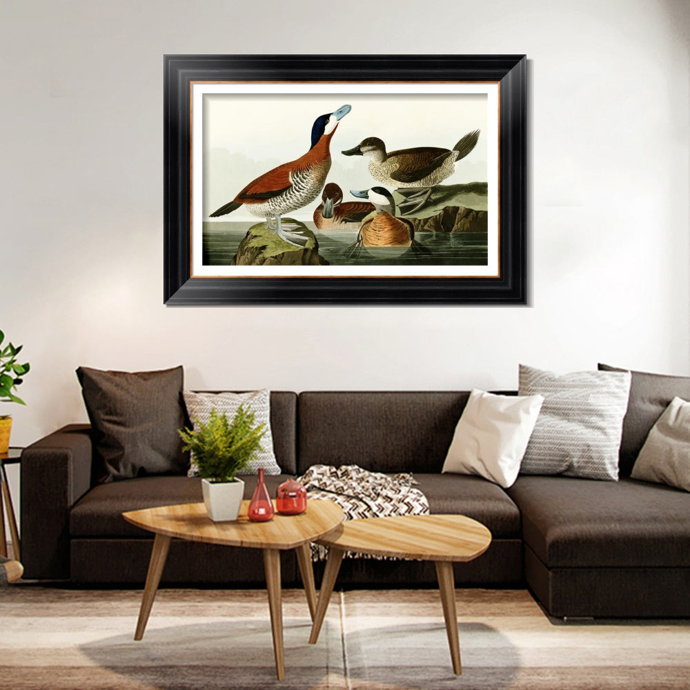 INVIN ART Framed Canvas Art Giclee Print Ruddy Duck by John James Audubon  Home Office Wall Art Decorations