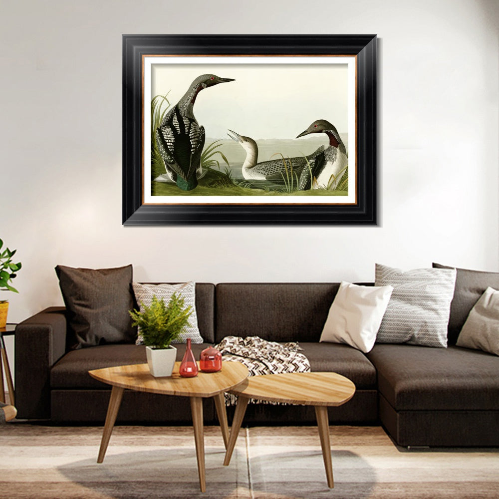 INVIN ART Framed Canvas Art Giclee Print Black Throated Diver by John James Audubon  Home Office Wall Art Decorations