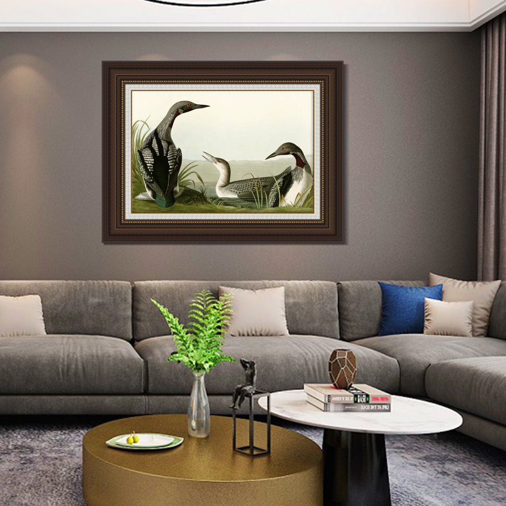 INVIN ART Framed Canvas Art Giclee Print Black Throated Diver by John James Audubon  Home Office Wall Art Decorations