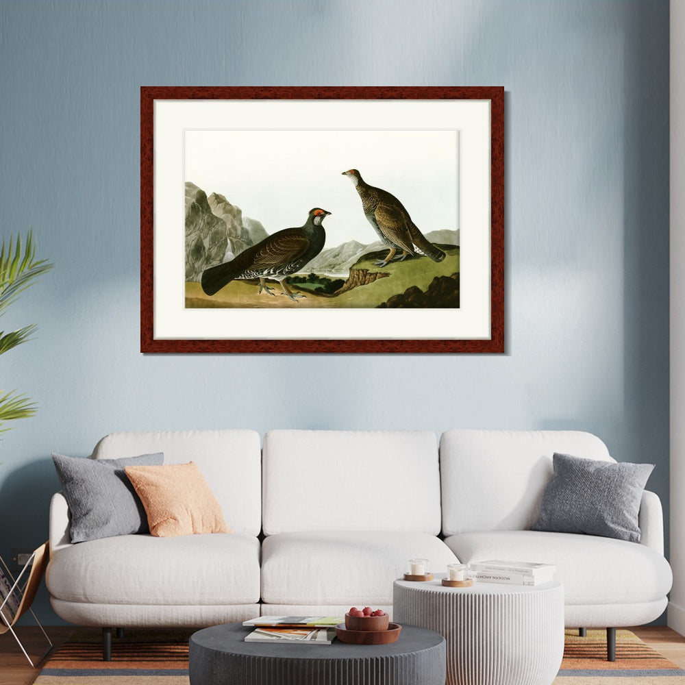 INVIN ART Framed Canvas Art Giclee Print Long Tailed or Dusky Grous by John James Audubon  Home Office Wall Art Decorations