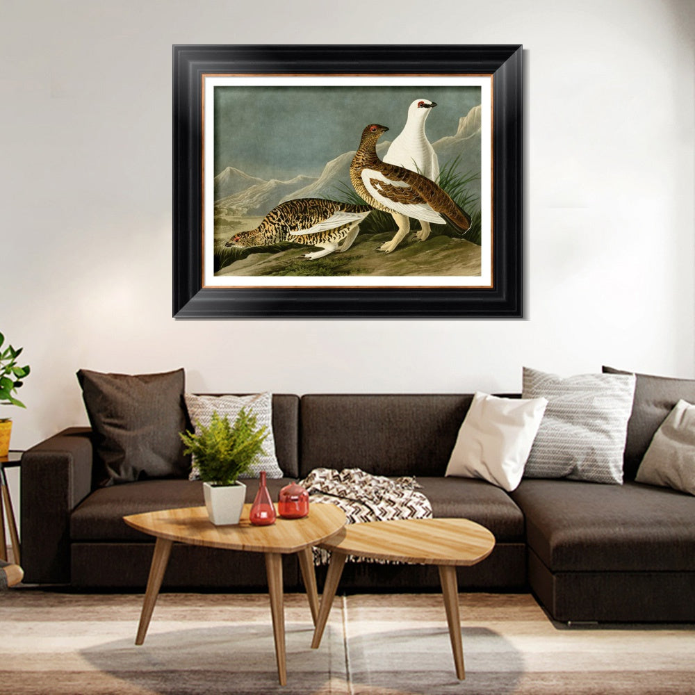 INVIN ART Framed Canvas Art Giclee Print Rock Grous by John James Audubon  Home Office Wall Art Decorations