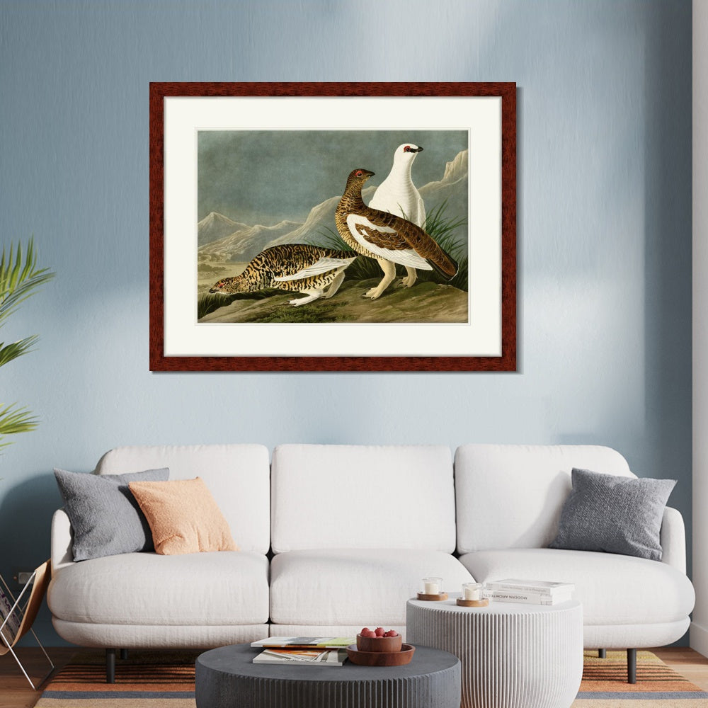 INVIN ART Framed Canvas Art Giclee Print Rock Grous by John James Audubon  Home Office Wall Art Decorations