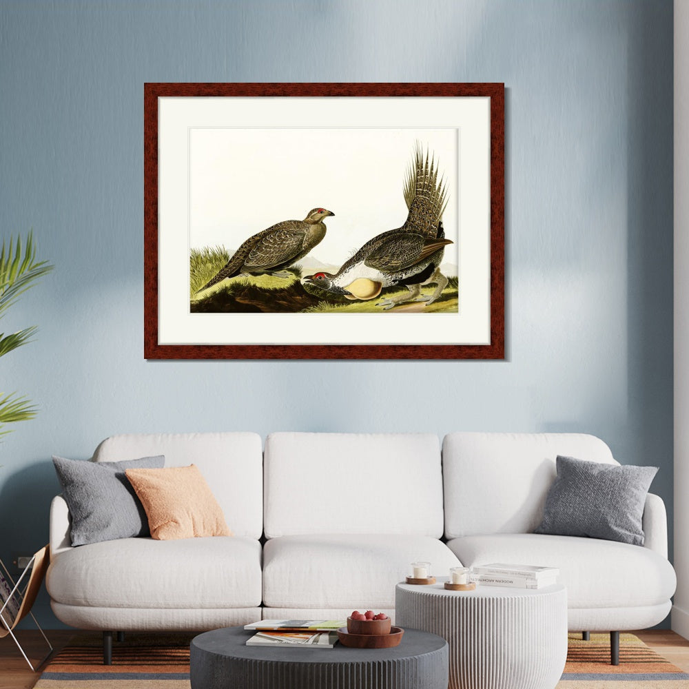 INVIN ART Framed Canvas Art Giclee Print Cock of The Plains by John James Audubon  Home Office Wall Art Decorations