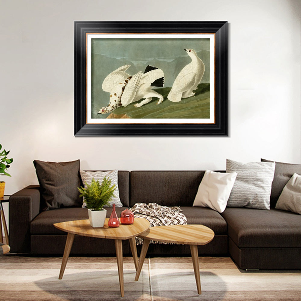 INVIN ART Framed Canvas Art Giclee Print White Tailed Grous by John James Audubon  Home Office Wall Art Decorations
