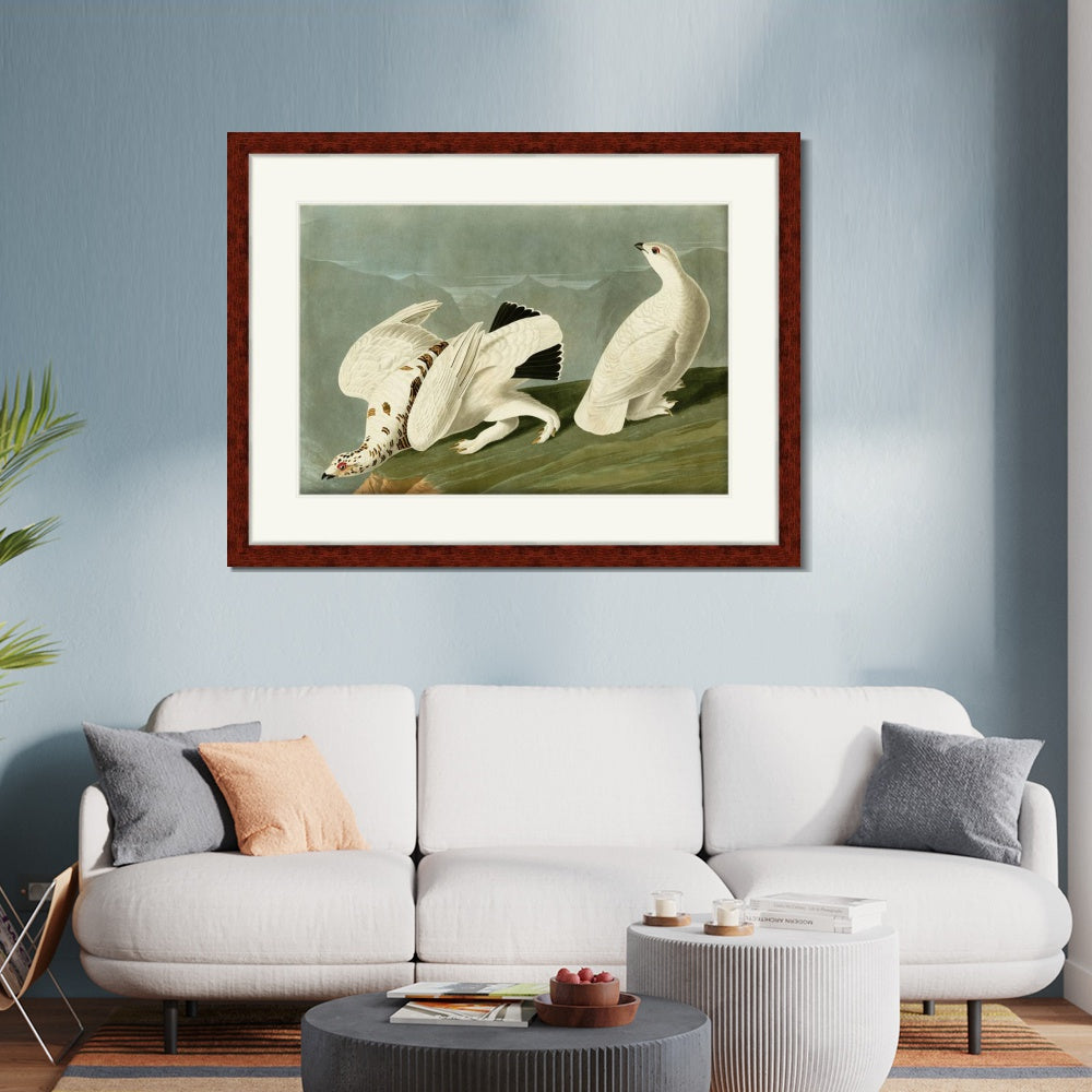 INVIN ART Framed Canvas Art Giclee Print White Tailed Grous by John James Audubon  Home Office Wall Art Decorations