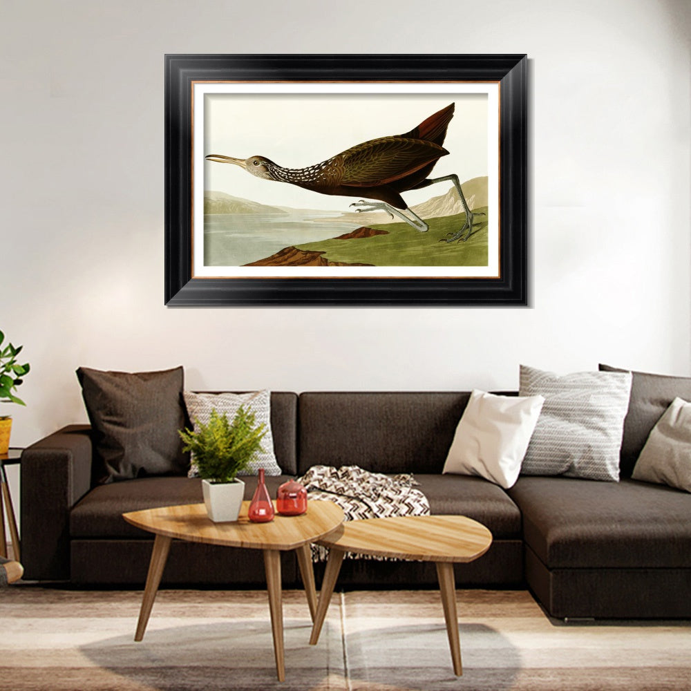 INVIN ART Framed Canvas Art Giclee Print Water Marsh Hen by John James Audubon  Home Office Wall Art Decorations