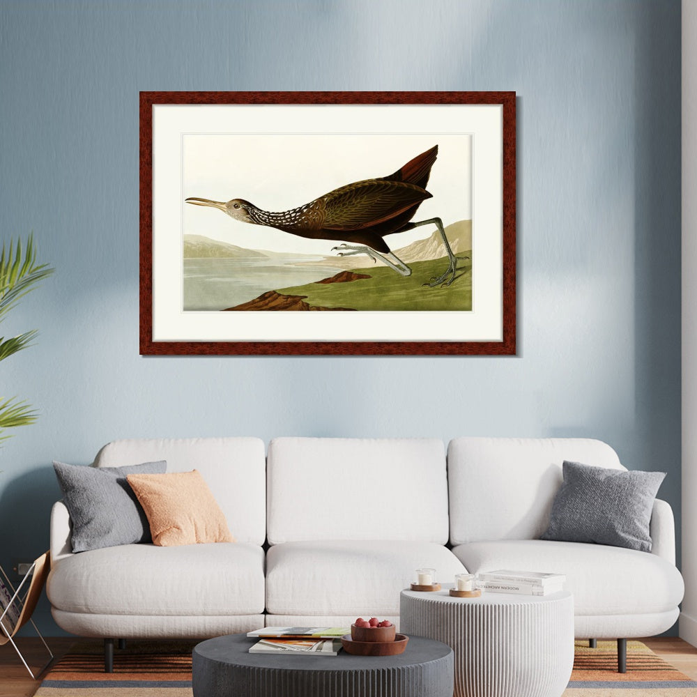 INVIN ART Framed Canvas Art Giclee Print Water Marsh Hen by John James Audubon  Home Office Wall Art Decorations
