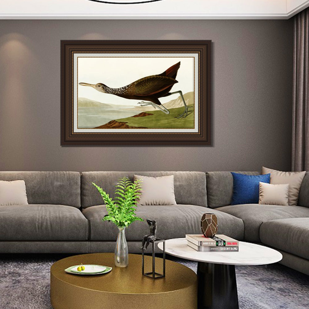 INVIN ART Framed Canvas Art Giclee Print Water Marsh Hen by John James Audubon  Home Office Wall Art Decorations