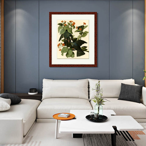 INVIN ART Framed Canvas Art Giclee Print Series#081 by John James Audubon Living Room Home Office Wall Art Decorations
