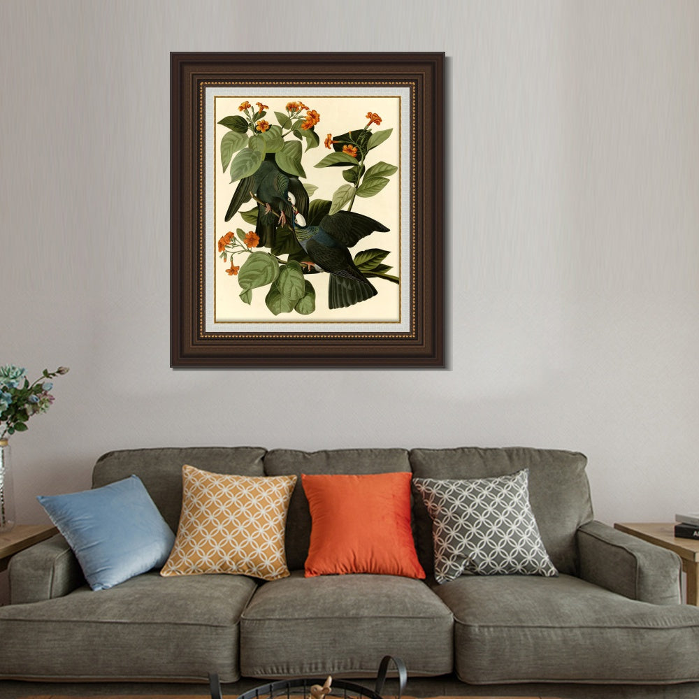 INVIN ART Framed Canvas Art Giclee Print Series#081 by John James Audubon  Home Office Wall Art Decorations