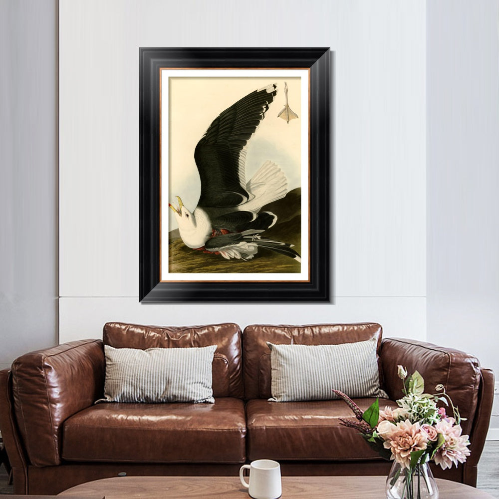 INVIN ART Framed Canvas Art Giclee Print Black Backed Gull by John James Audubon  Home Office Wall Art Decorations