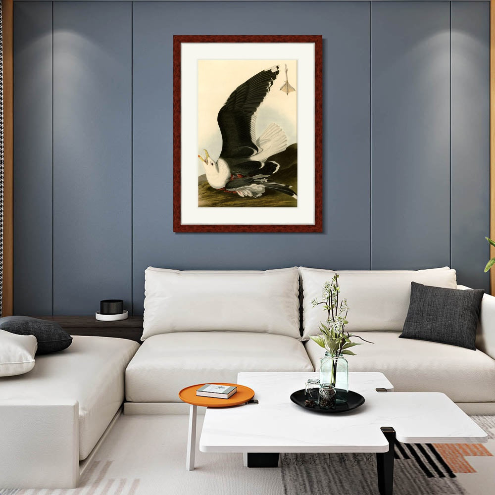 INVIN ART Framed Canvas Art Giclee Print Black Backed Gull by John James Audubon  Home Office Wall Art Decorations