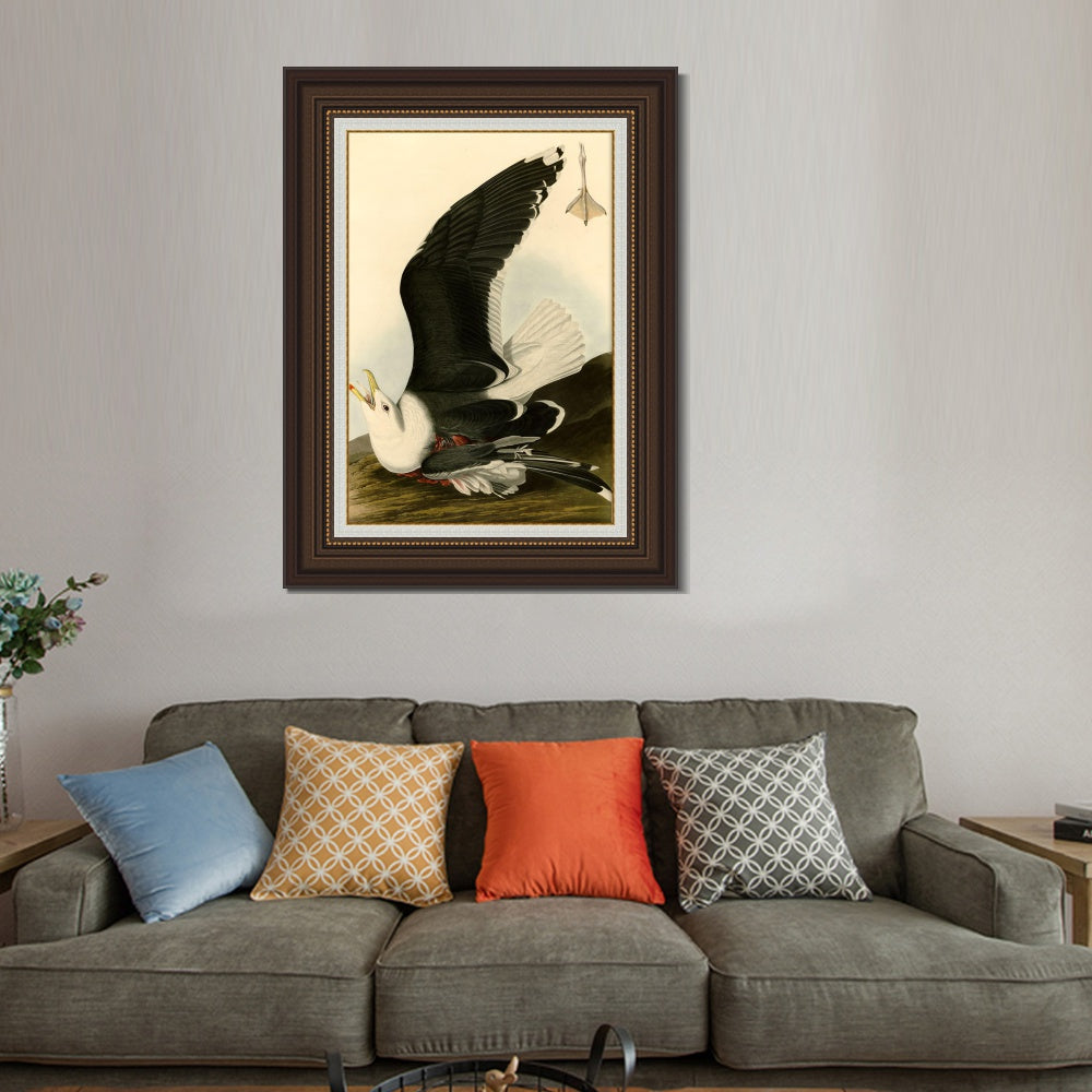 INVIN ART Framed Canvas Art Giclee Print Black Backed Gull by John James Audubon  Home Office Wall Art Decorations