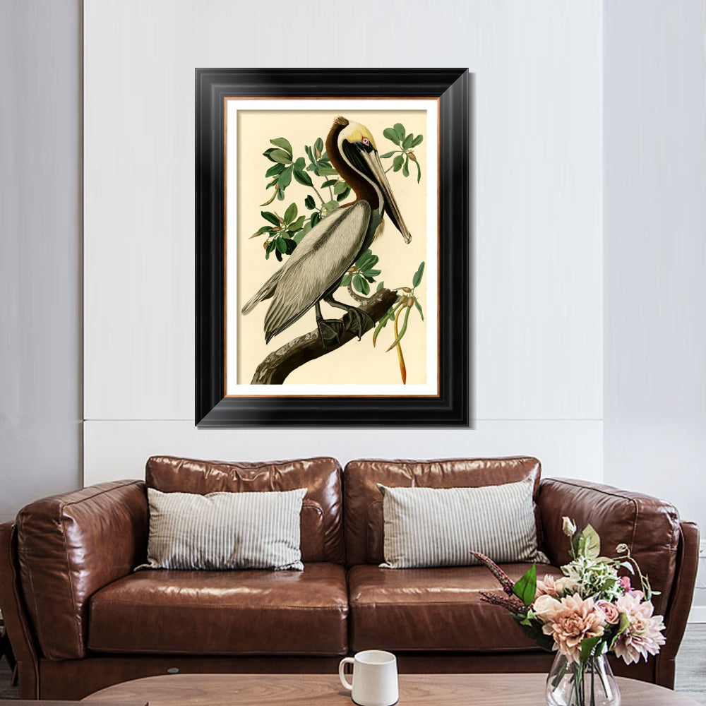 INVIN ART Framed Canvas Art Giclee Print Brown Pelican by John James Audubon  Home Office Wall Art Decorations