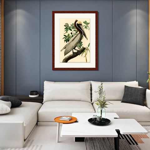 INVIN ART Framed Canvas Art Giclee Print Brown Pelican by John James Audubon Living Room Home Office Wall Art Decorations