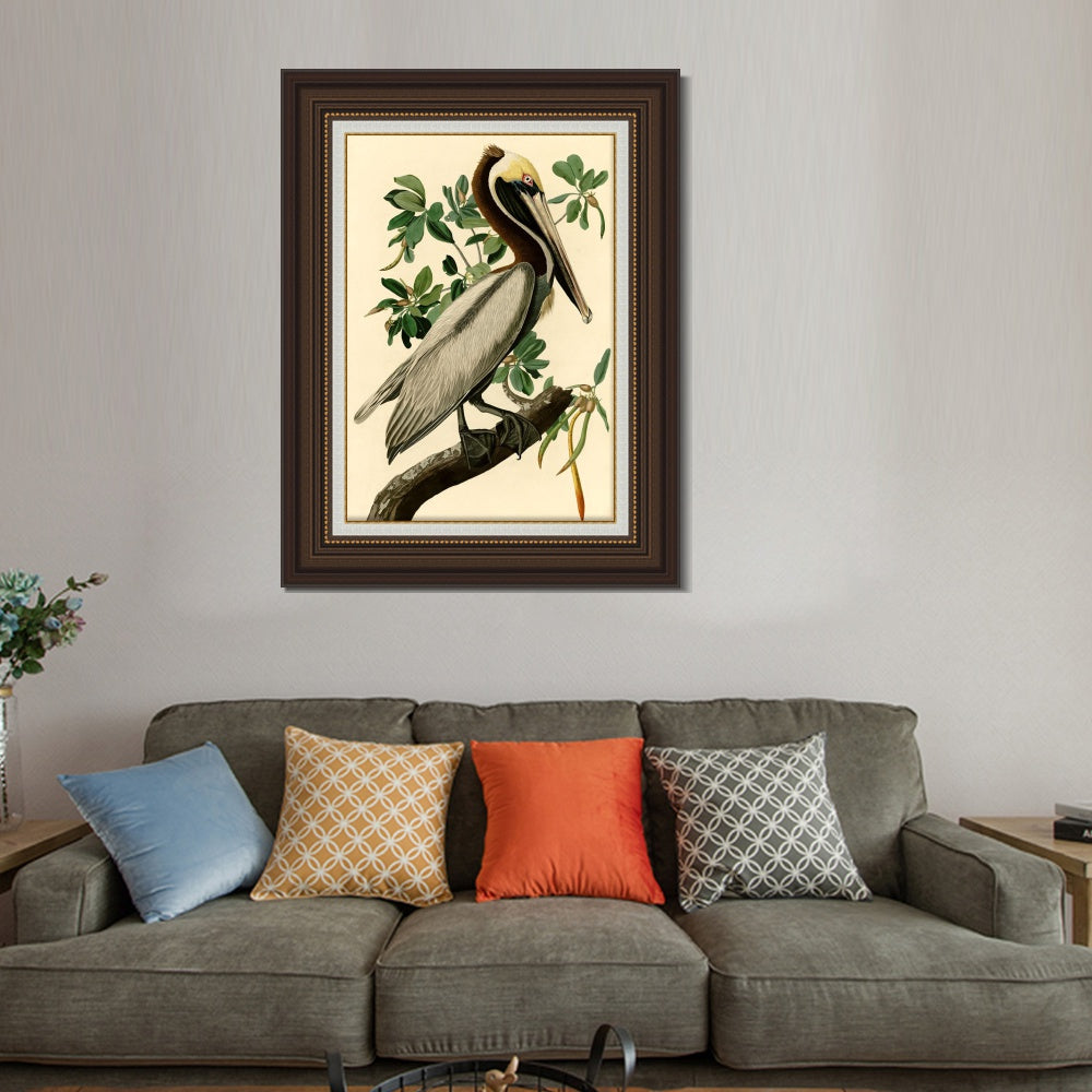 INVIN ART Framed Canvas Art Giclee Print Brown Pelican by John James Audubon  Home Office Wall Art Decorations