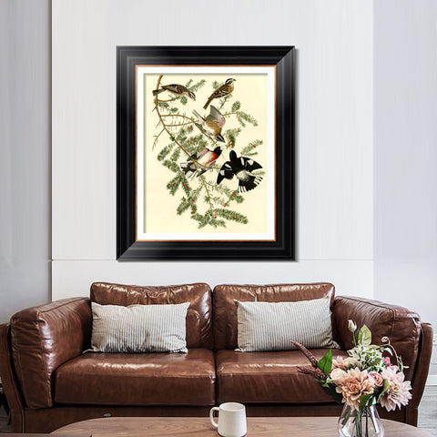 INVIN ART Framed Canvas Art Giclee Print Rose Breasted Grosbeak by John James Audubon Living Room Home Office Wall Art Decorations