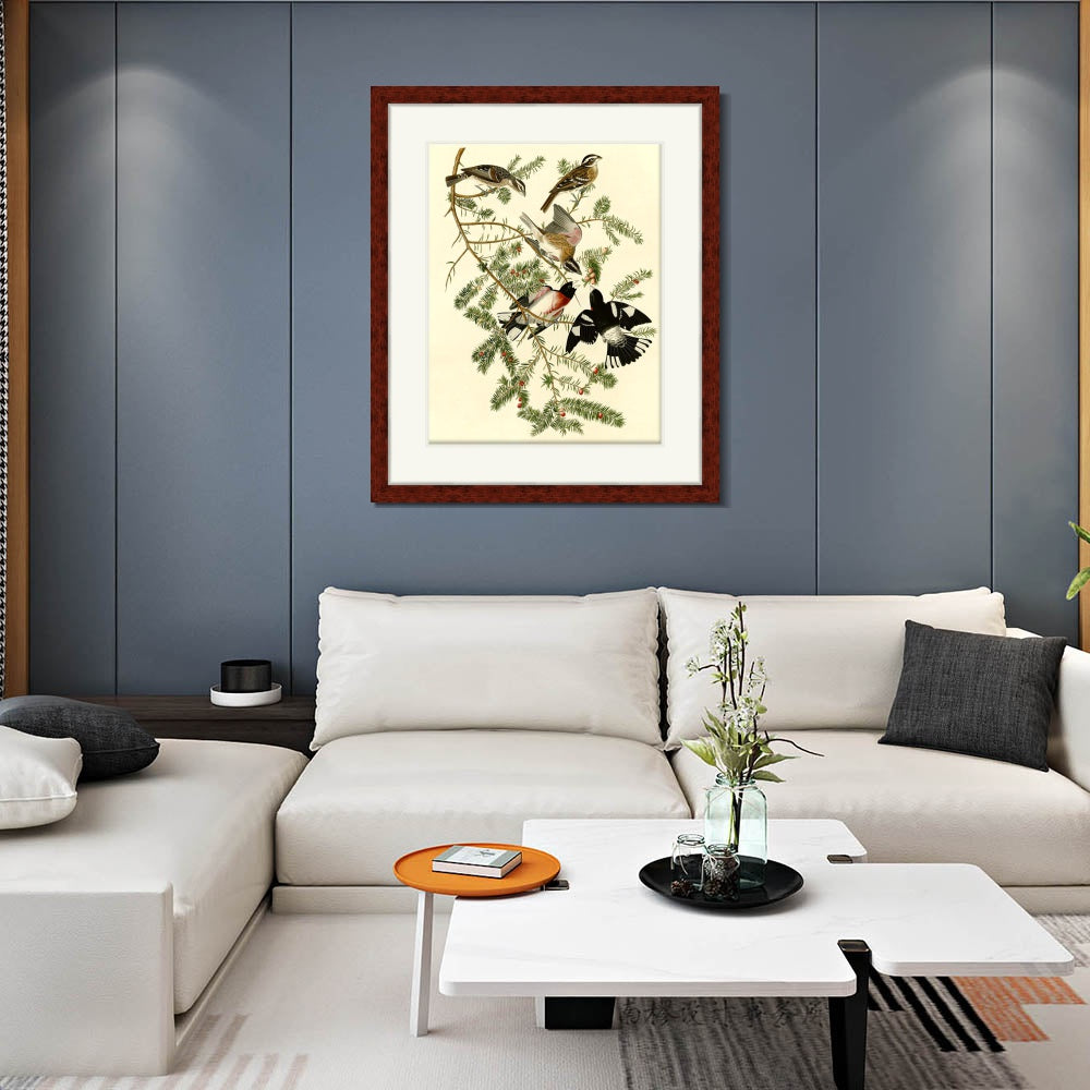 INVIN ART Framed Canvas Art Giclee Print Rose Breasted Grosbeak by John James Audubon  Home Office Wall Art Decorations