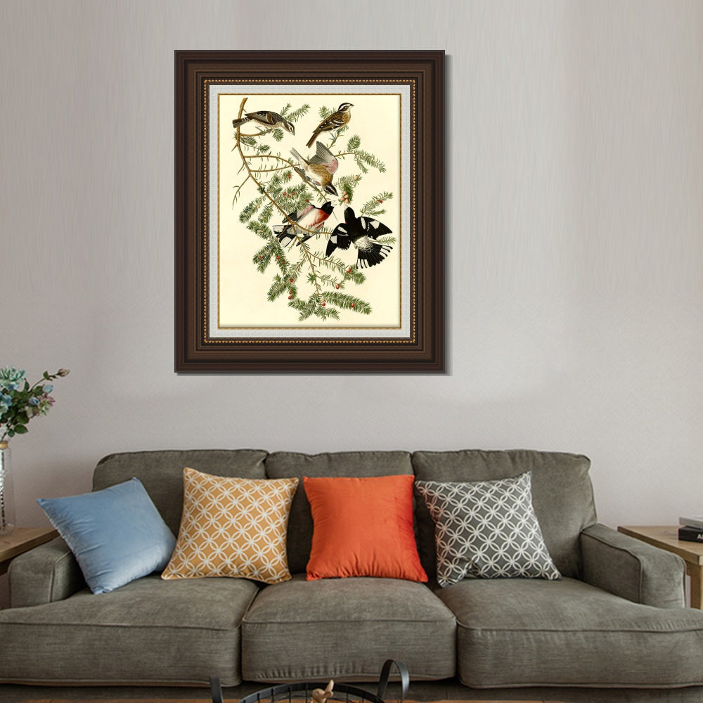 INVIN ART Framed Canvas Art Giclee Print Rose Breasted Grosbeak by John James Audubon  Home Office Wall Art Decorations