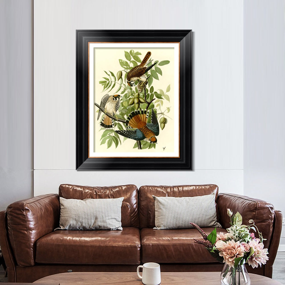 INVIN ART Framed Canvas Art Giclee Print Series#87 by John James Audubon  Home Office Wall Art Decorations