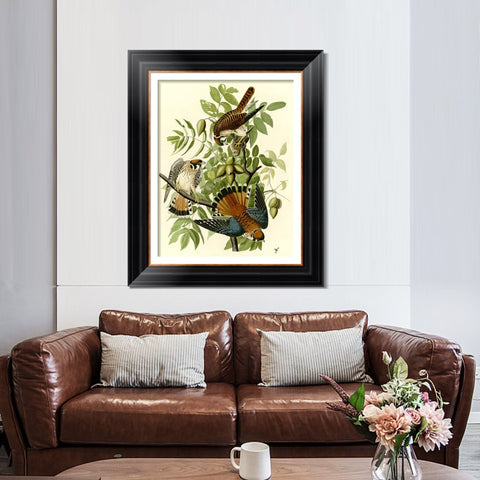 INVIN ART Framed Canvas Art Giclee Print Series#87 by John James Audubon Living Room Home Office Wall Art Decorations