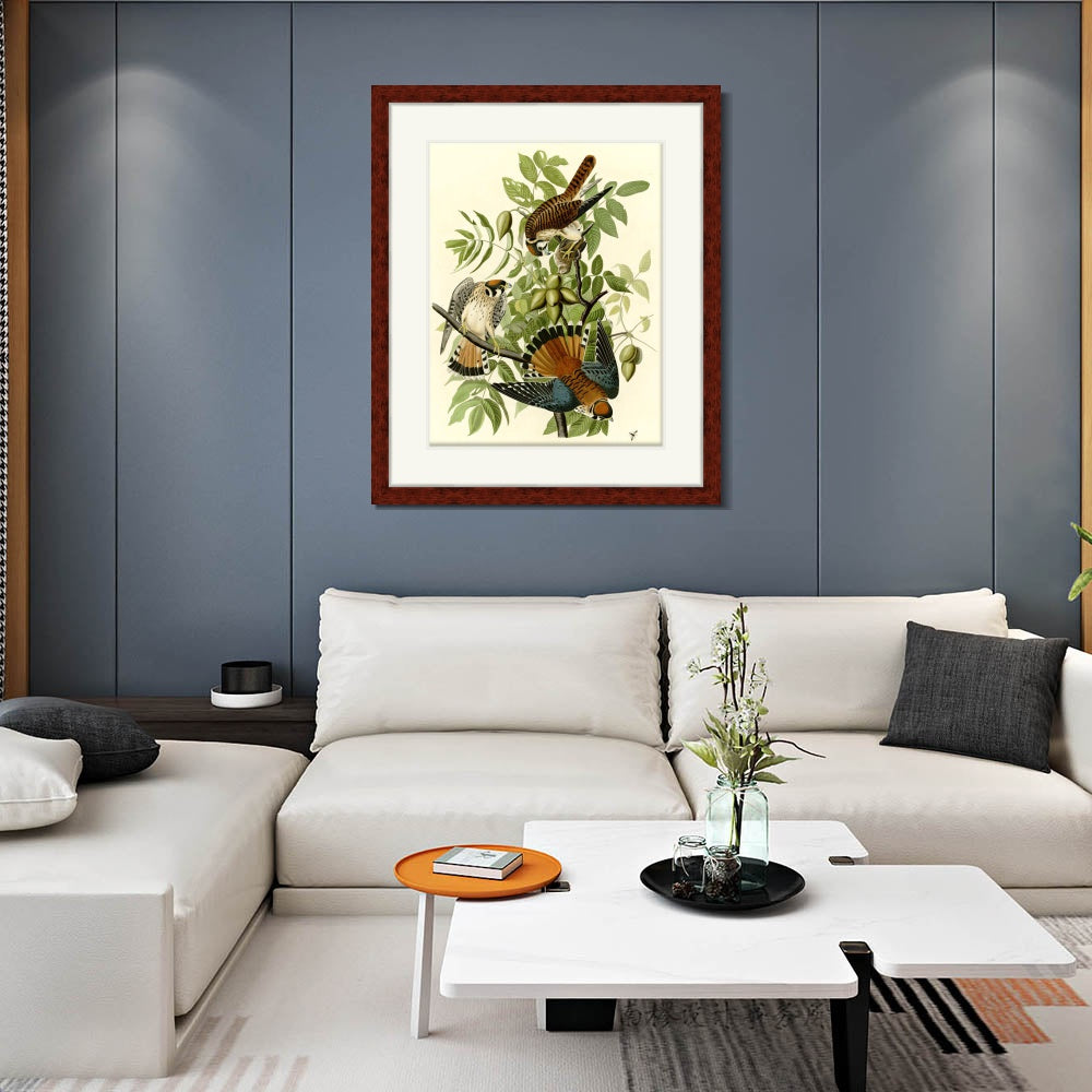 INVIN ART Framed Canvas Art Giclee Print Series#87 by John James Audubon  Home Office Wall Art Decorations