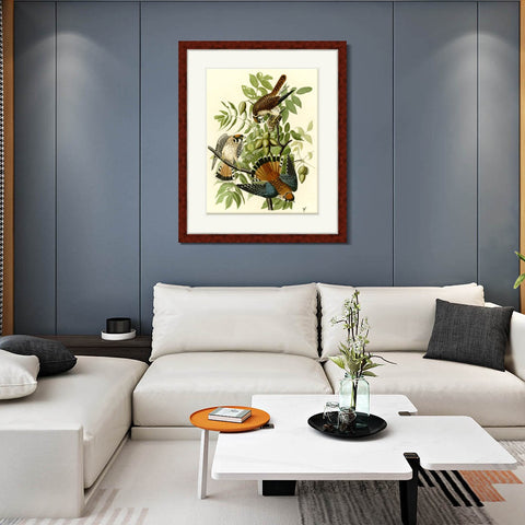 INVIN ART Framed Canvas Art Giclee Print Series#87 by John James Audubon Living Room Home Office Wall Art Decorations