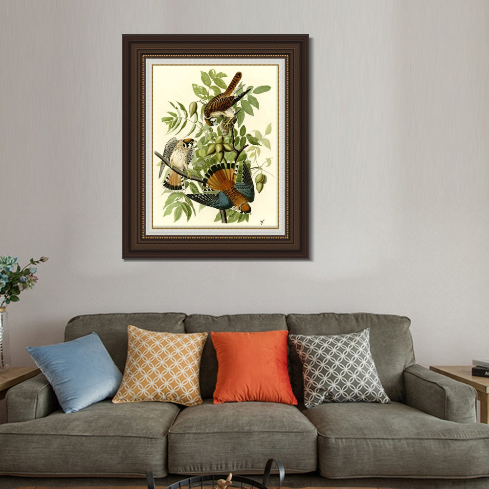 INVIN ART Framed Canvas Art Giclee Print Series#87 by John James Audubon  Home Office Wall Art Decorations