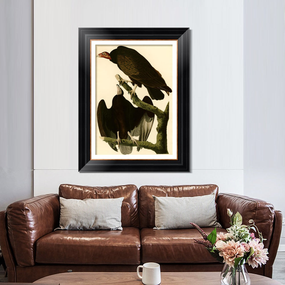 INVIN ART Framed Canvas Art Giclee Print Turkey Buzzard by John James Audubon  Home Office Wall Art Decorations