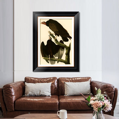 INVIN ART Framed Canvas Art Giclee Print Turkey Buzzard by John James Audubon Living Room Home Office Wall Art Decorations
