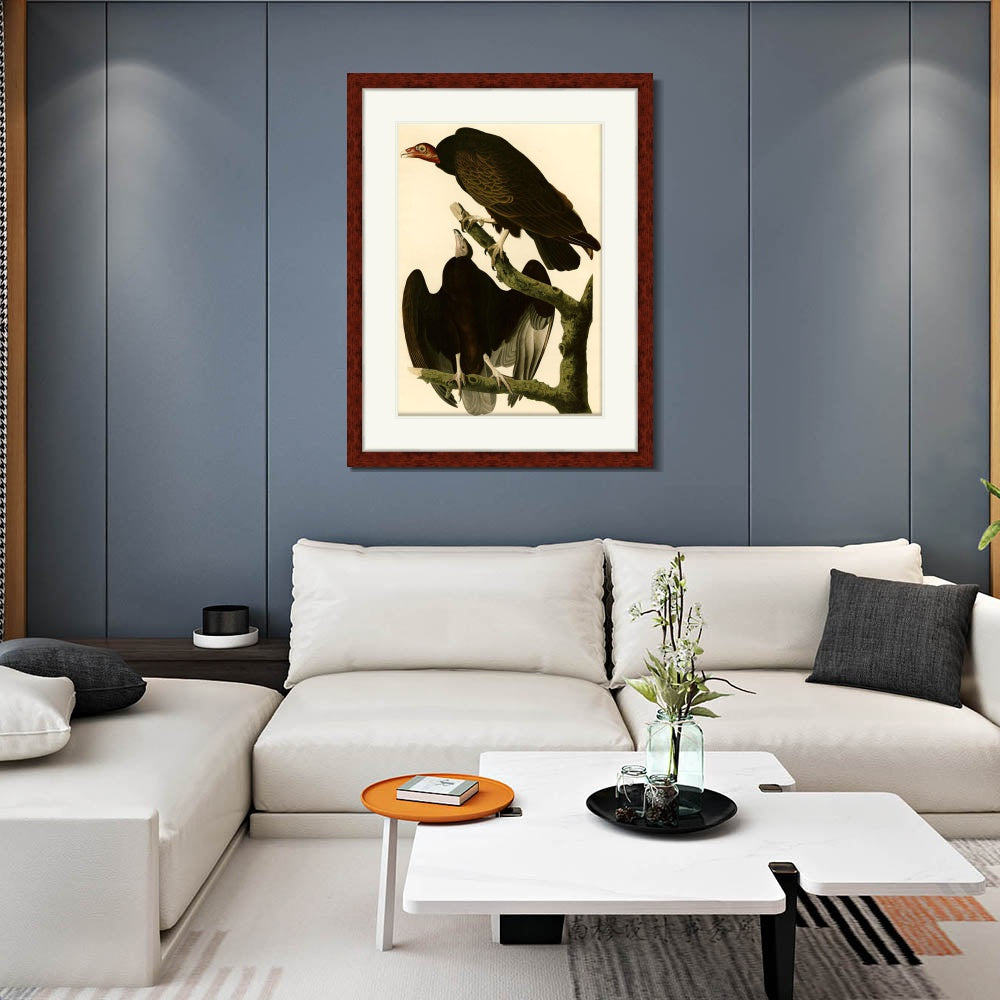 INVIN ART Framed Canvas Art Giclee Print Turkey Buzzard by John James Audubon  Home Office Wall Art Decorations