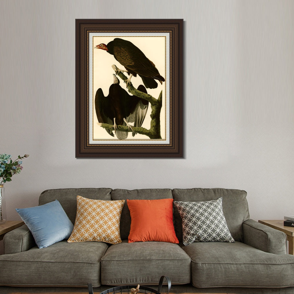 INVIN ART Framed Canvas Art Giclee Print Turkey Buzzard by John James Audubon  Home Office Wall Art Decorations