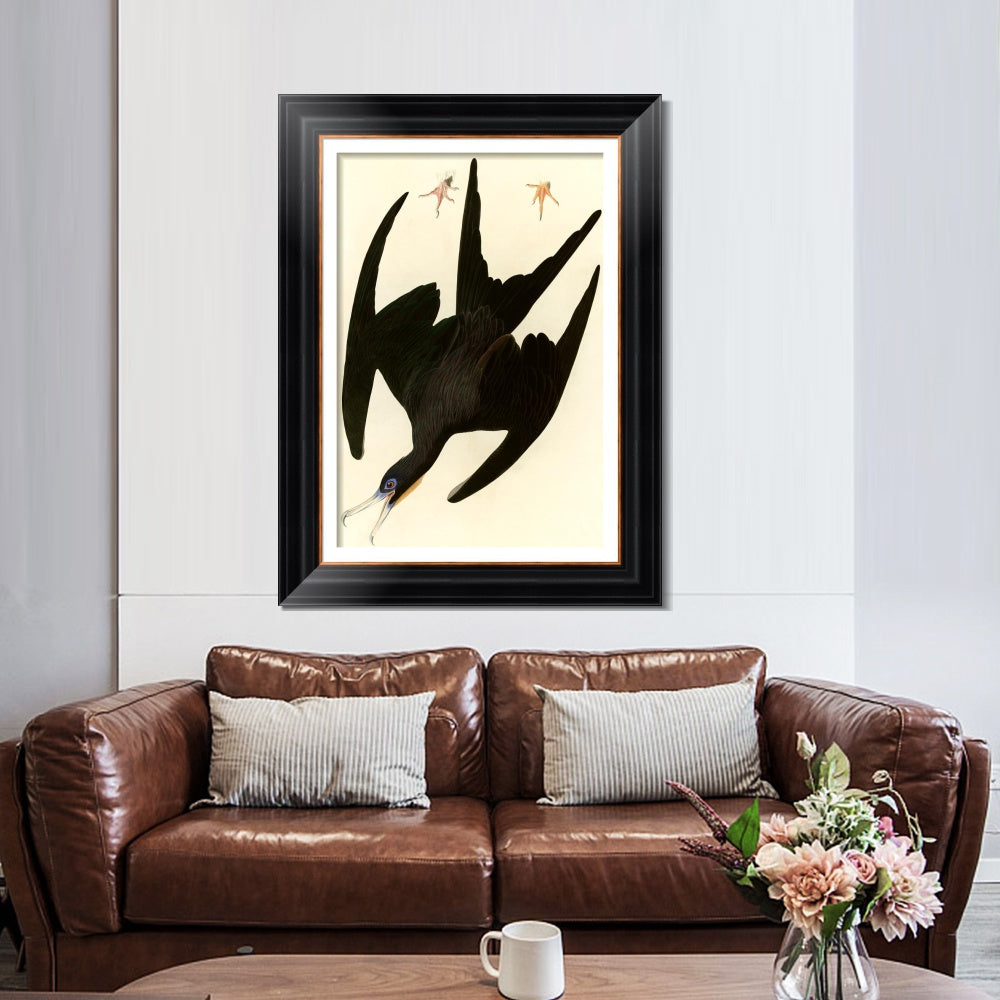 INVIN ART Framed Canvas Art Giclee Print Frigate Pelican by John James Audubon  Home Office Wall Art Decorations
